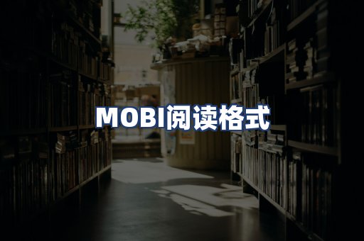 MOBI阅读格式