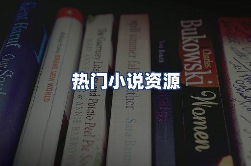 热门小说资源